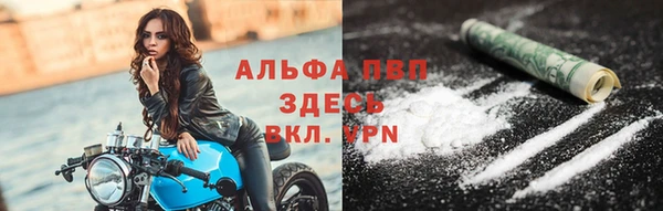 СК Алексин