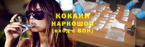 СК Алексин