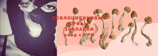 молекула духа Алексеевка