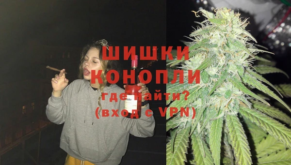 молекула духа Алексеевка