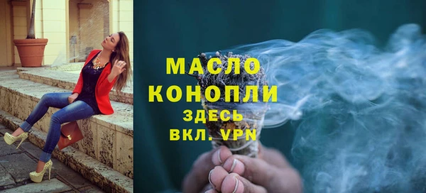 СК Алексин
