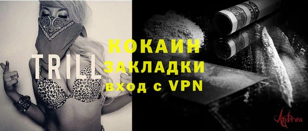СК Алексин