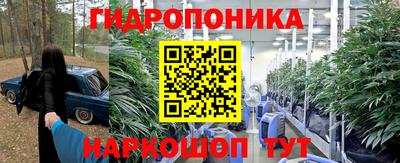 apvp Моздок