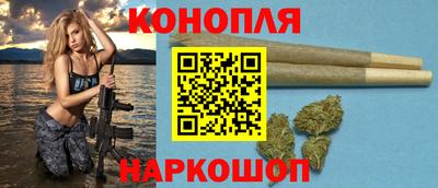 apvp Моздок