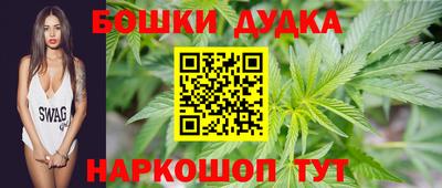 гашик Можга