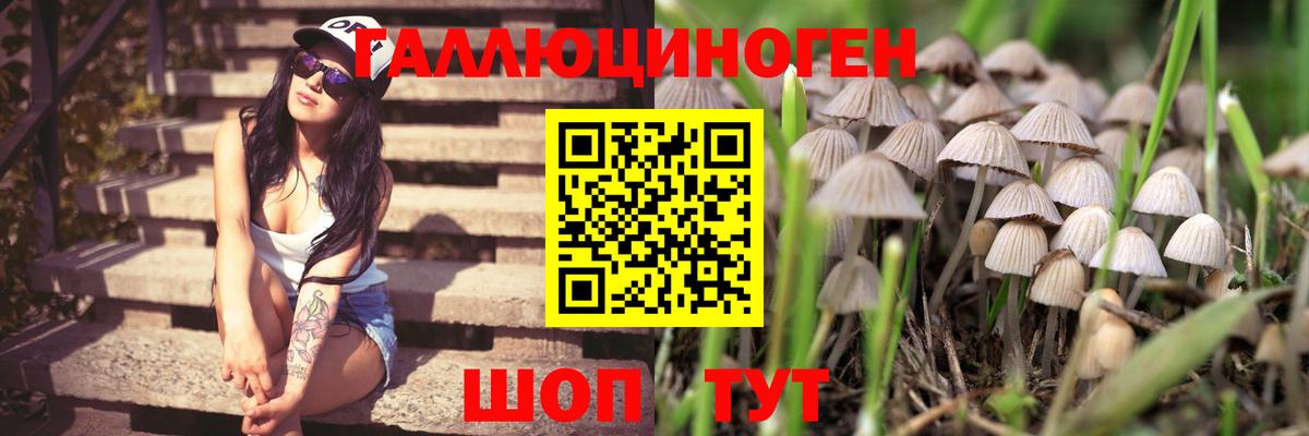 Псилоцибиновые грибы MAGIC MUSHROOMS Балашов